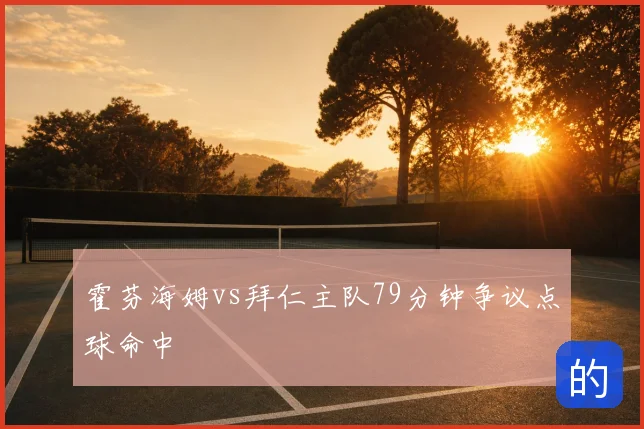 霍芬海姆vs拜仁主队79分钟争议点球命中
